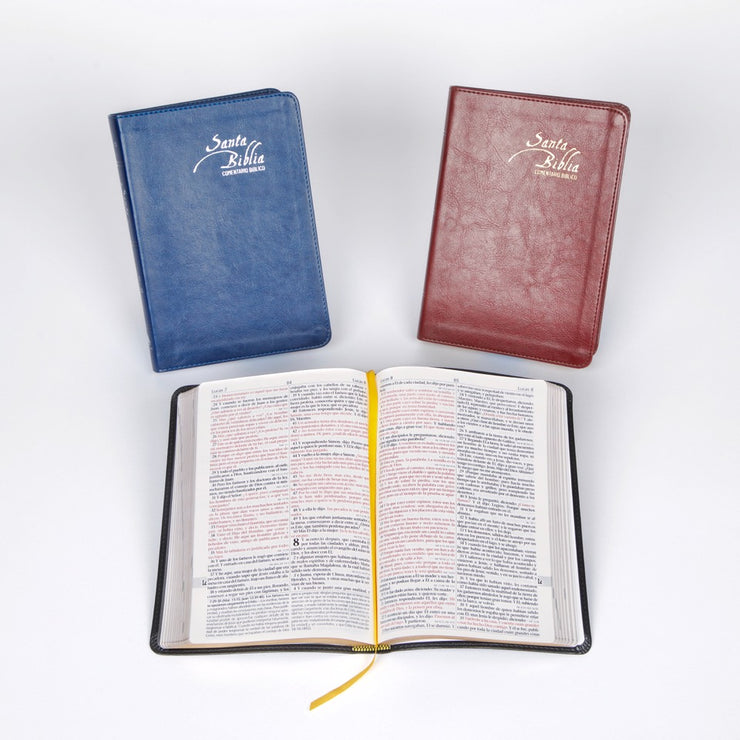 Santa Biblia - EGW - sin himnario