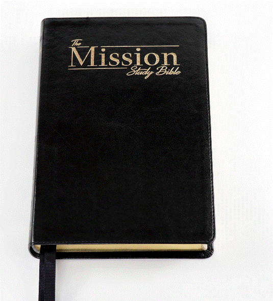 洋書 Biblia interpretada versiculo por La Biblia de Estudio Misionera con Comentario de EGW en 3